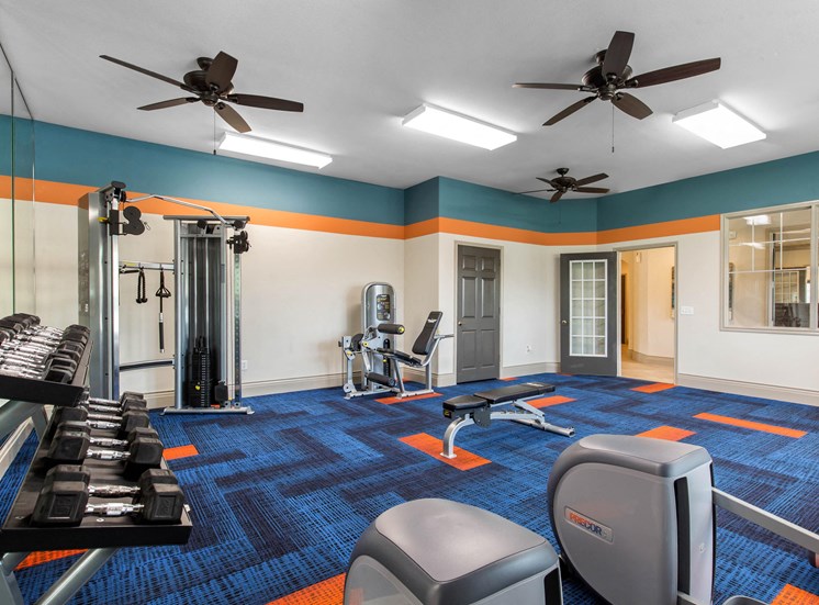 Strength and Cardio Fitness Center with Free Weights